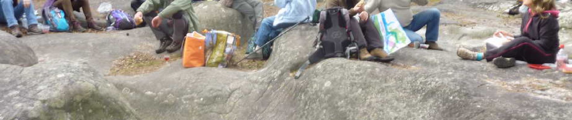 POI Fontainebleau - 03 - Le pique-nique, tous étalés sur une belle plate-forme rocheuse - Photo