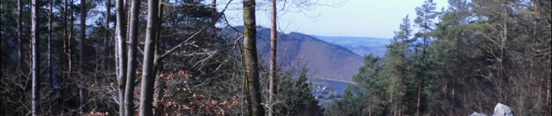 Point d'intérêt Stavelot - Panorama au point de vue de Ster - Photo