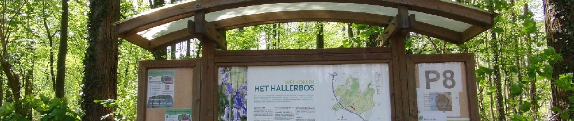 Randonnée Marche Hal - Balade dans le Bois de Halle - Photo