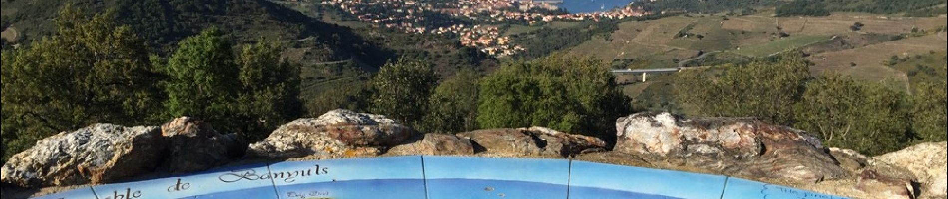 Tour Wandern Collioure - COLLIOURE 66 - Ermitage ND de consolation - tour MADELOC - Photo