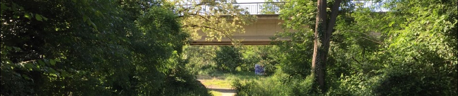 Point d'intérêt Gagnac-sur-Garonne - Pont routier Gagnac-sur-Garonne - Photo