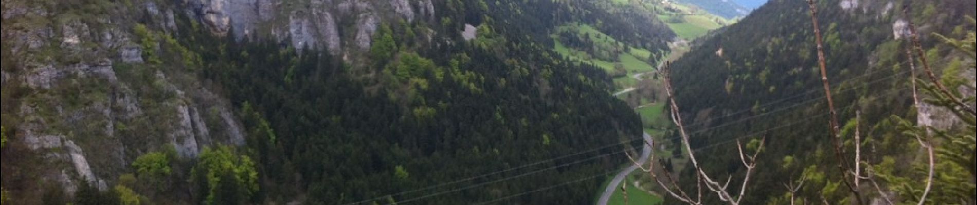 Tour Wandern Lans-en-Vercors - Vallon du Bruyant - Photo