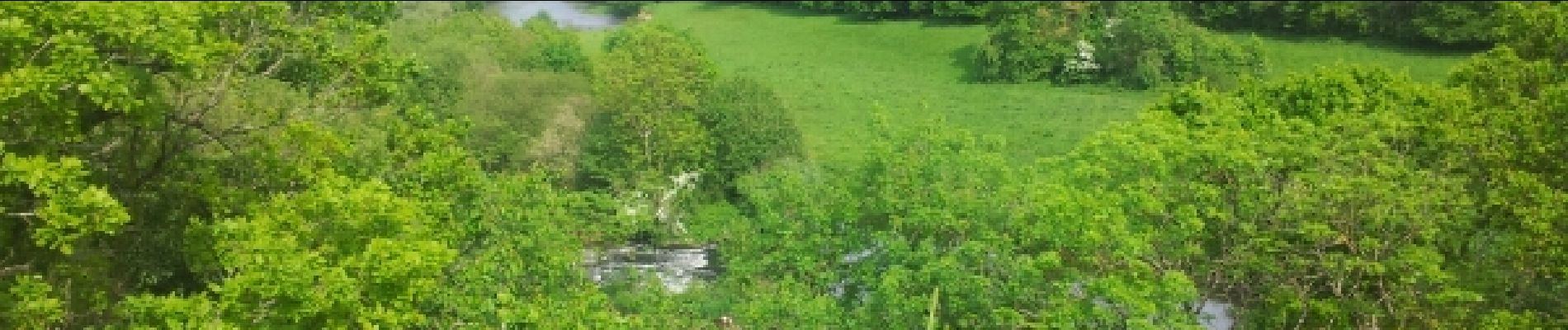 Tocht Stappen Montillières-sur-Orne - pont de brie - Photo