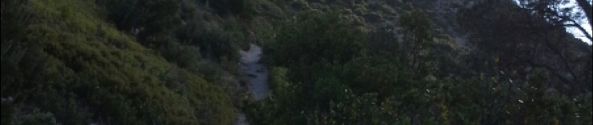 Tour Wandern Gémenos - les dents de roque forcade - Photo