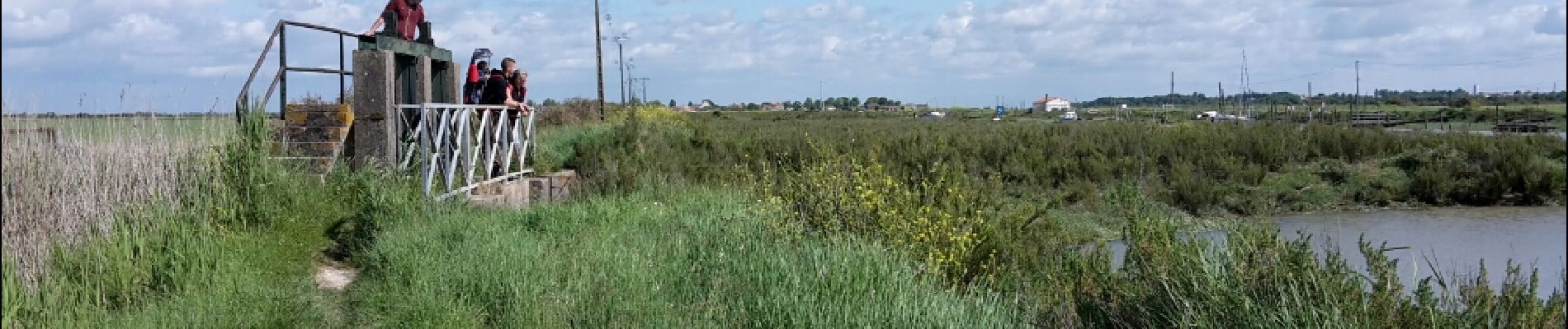 Tocht Andere activiteiten Moëze - Marais de Moëze-Brouage - Photo