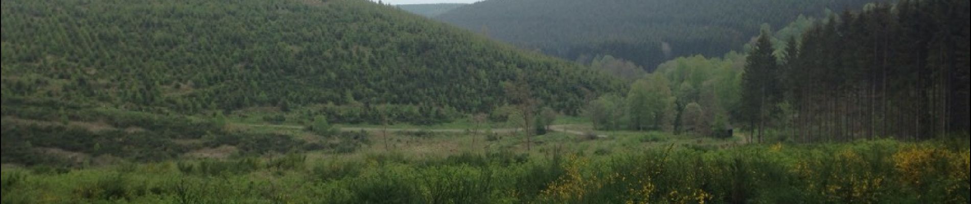 Excursión Senderismo Martelange - autour trou des cochons - Photo