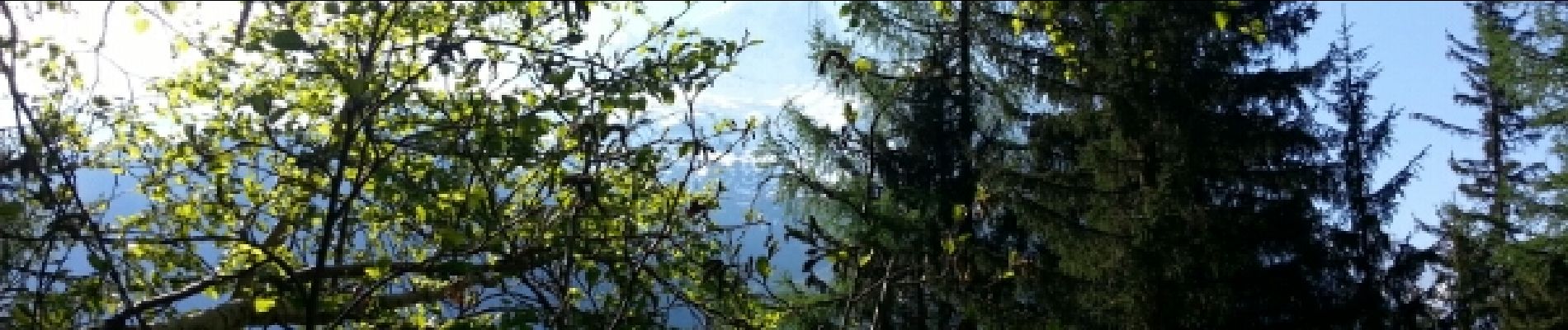 Point d'intérêt Chamonix-Mont-Blanc - 1 pause - Photo