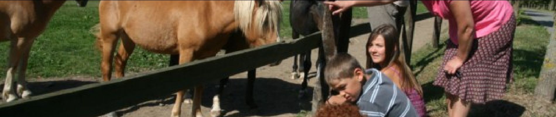 Punto de interés Beauraing - Comogne horse-milking farm - Photo