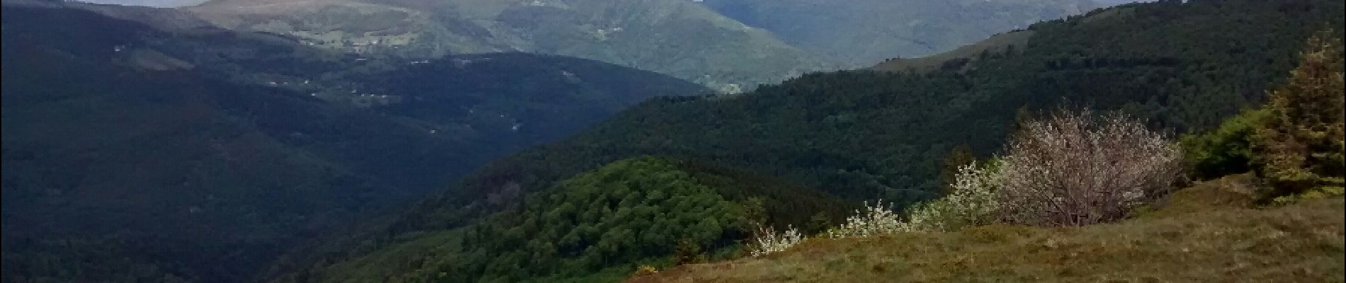 Punto de interés Lautenbachzell - Vue depuis le Storkenkopf 1366m - Photo