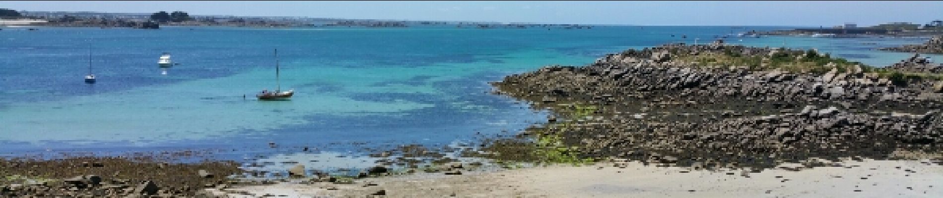 Tocht Stappen Île-de-Batz - île de batz - Photo