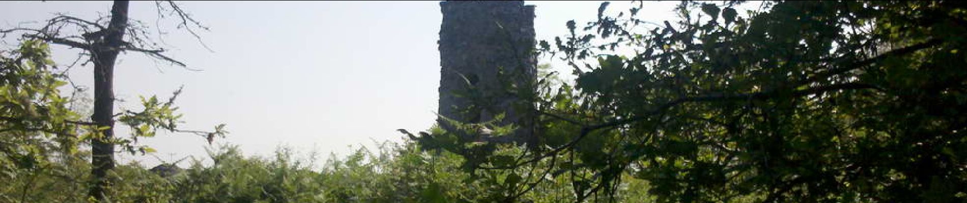 Punto di interesse Arbonne-la-Forêt - 02 - La Tour de la Vierge - Photo