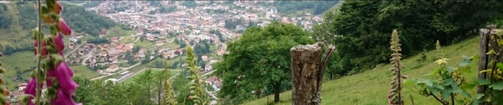 Tour Mountainbike Woll - randonnée découverte à la Bresse.  - Photo