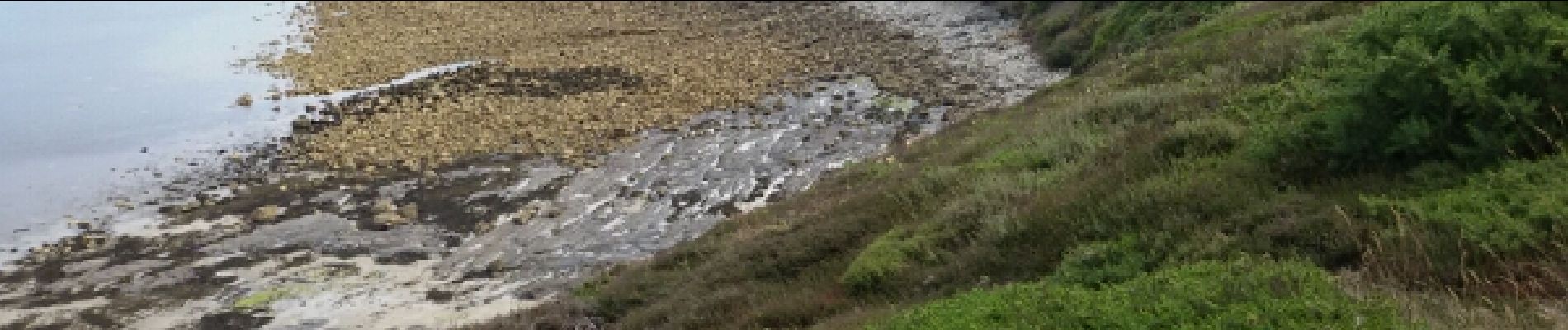 Tour Wandern Camaret-sur-Mer - Circuit de la pointe de Pen Hir - Photo