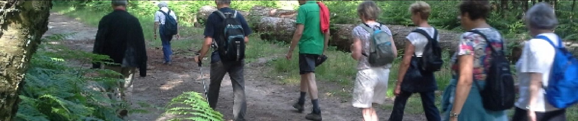 Punto di interesse Poigny-la-Forêt - D'un pas pressé - Photo