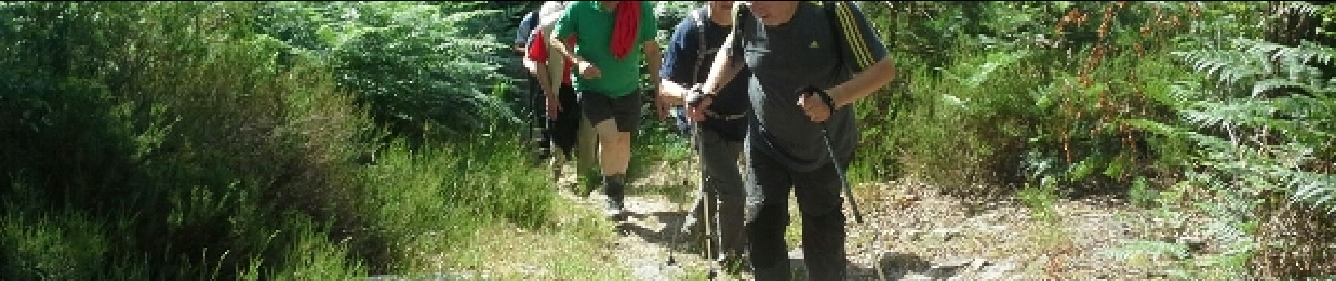 Punto de interés Poigny-la-Forêt - Rude Montée - Photo