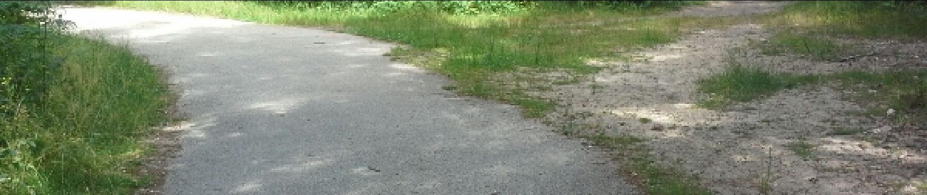 POI Poigny-la-Forêt - Piste Cyclable - Photo