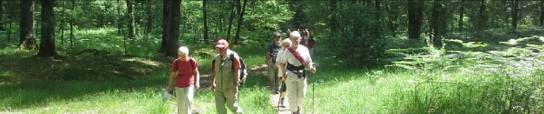 Punto de interés Poigny-la-Forêt - Carrefour du Roi de Rome - Photo