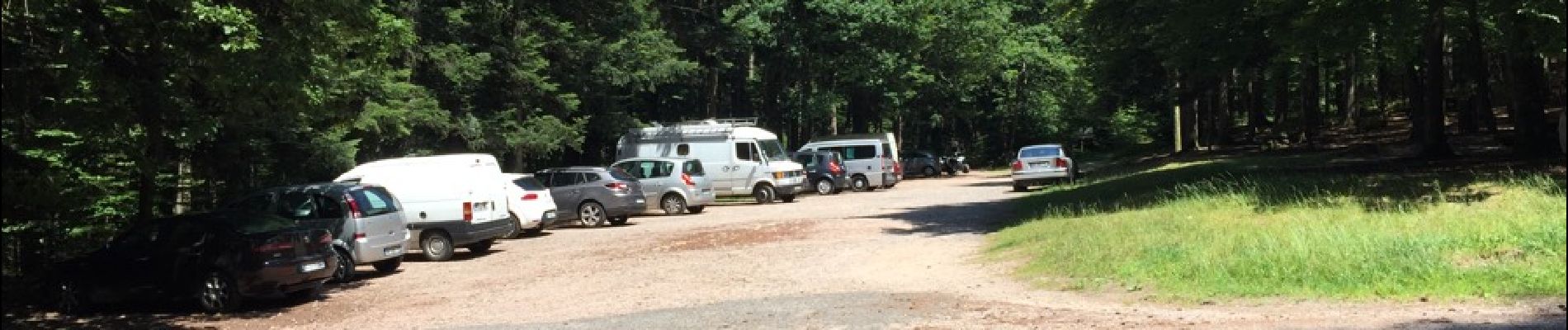 Percorso Marcia Dambach-la-Ville - château du Bernstein - Photo