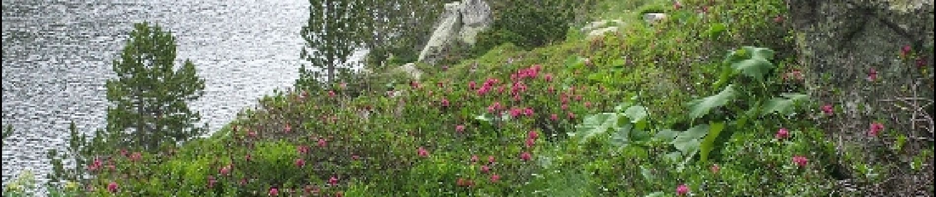 Randonnée Marche L'Hospitalet-près-l'Andorre - Etang de Besines - Photo