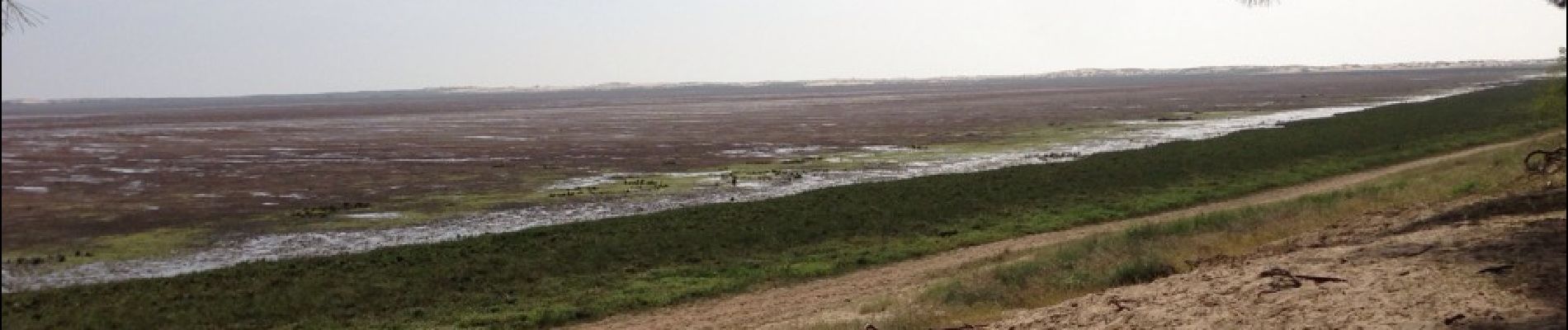 Randonnée Vélo Saint-Palais-sur-Mer - Boucle : Nauzan, Mornac, La Tremblade, Phare La Coubre, La Palmyre Nauzan. - Photo