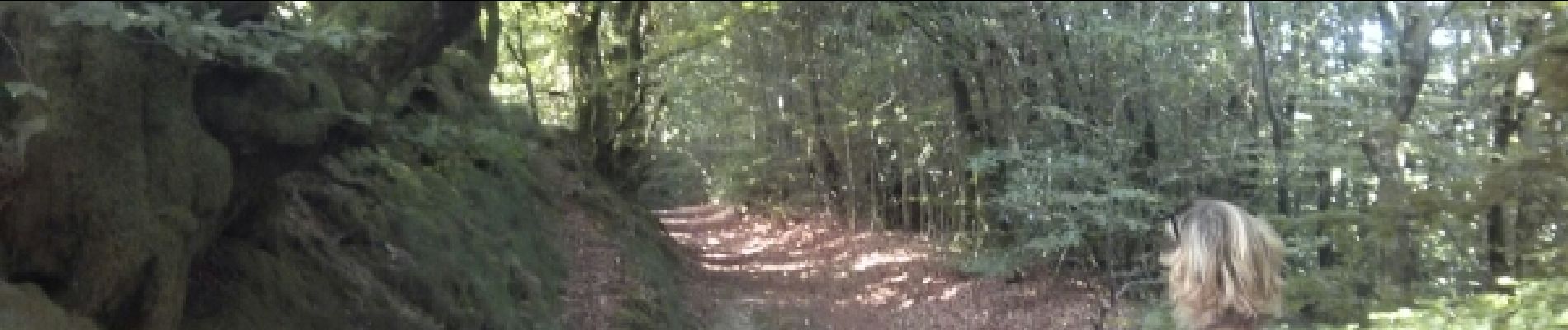 Tour Wandern Lespinassière - Salette -Chiffre - Photo