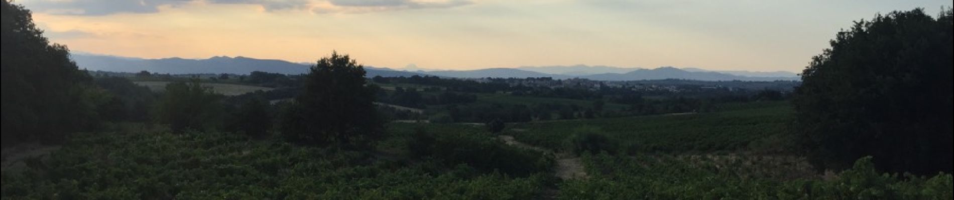 Tocht Stappen Tresserre - TRESSERRE 66 - PASSA - promenade dans le vignoble des Aspres - Photo