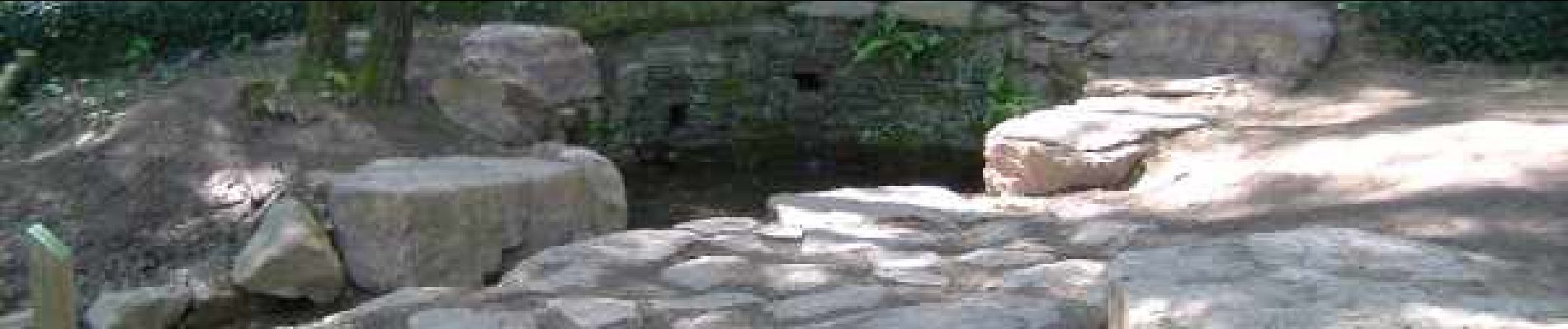 Punto de interés Paimpont - La fontaine de jouvence - Photo
