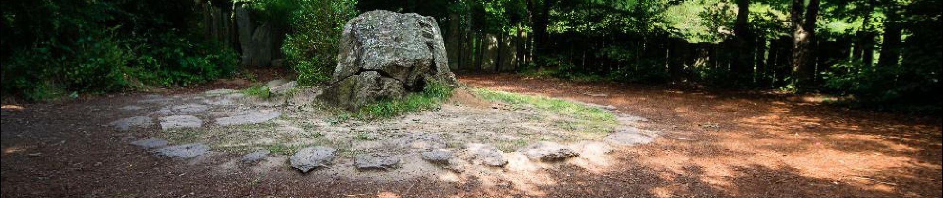 Punto di interesse Paimpont - Le tombeau de Merlin - Photo