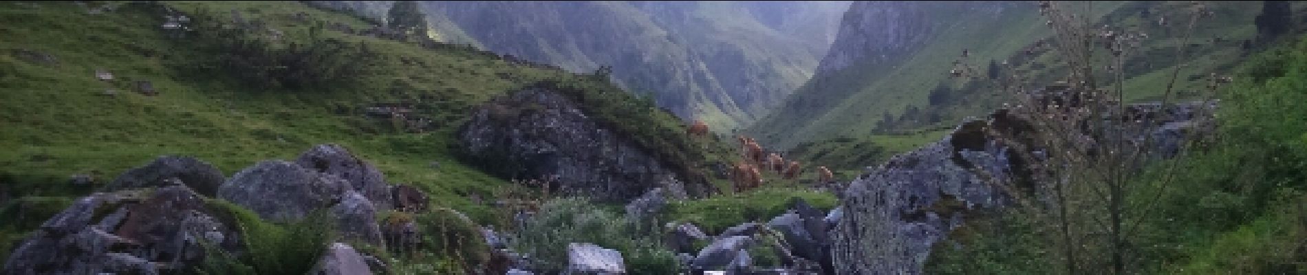 Tour Wandern Cauterets - Du lac D'Ileou au parking du Gambasque  - Photo