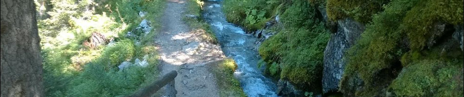 Punto de interés Orsières - Prise d'eau du bisse du petit ruisseau - Photo