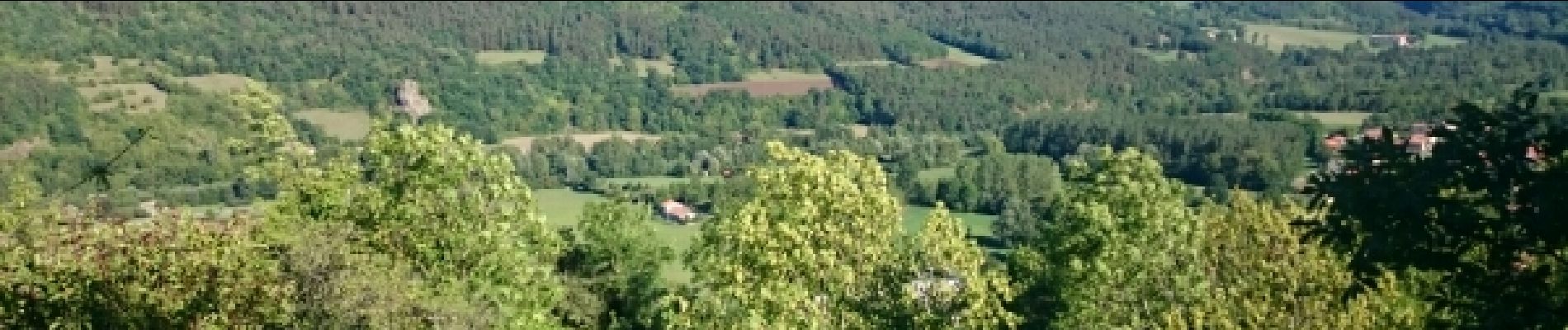 Tocht Fiets Brives-Charensac - voie verte À-R Le Puy Costaros - Photo