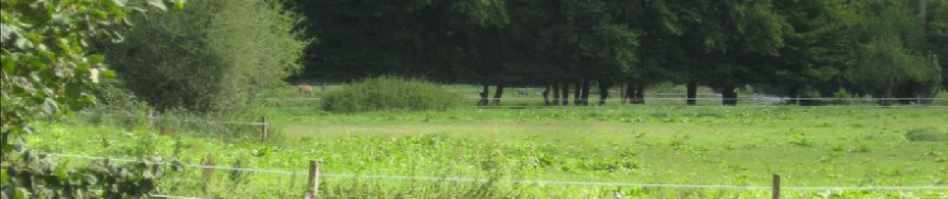 Punto di interesse La Roche-en-Ardenne - Le site d'envol - Photo