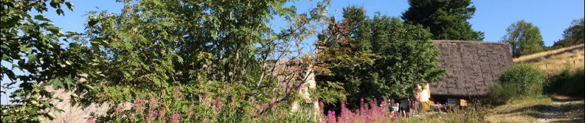 Tour Wandern Valcivières - le colporteur des jasseries Ambert - Photo