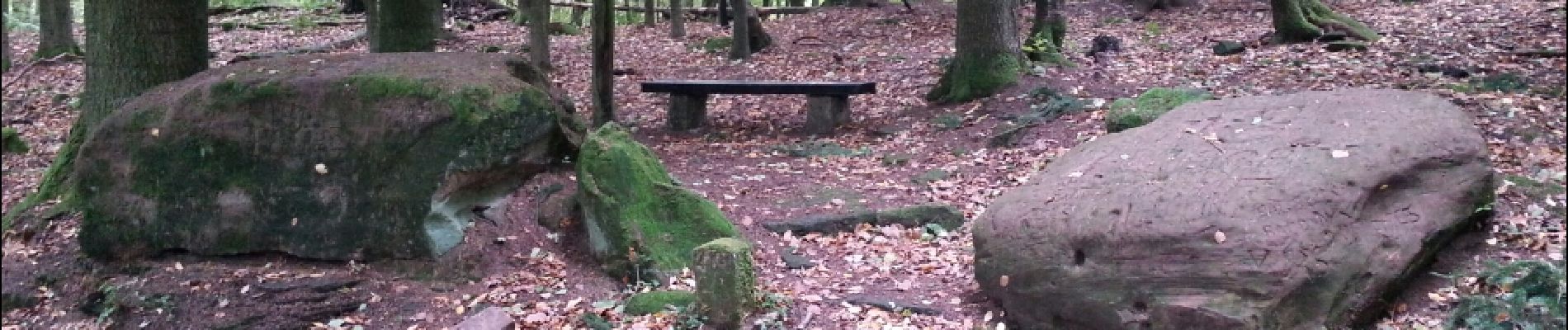 Trail Walking Meisenthal - maizenthal - soucht et environs - Photo