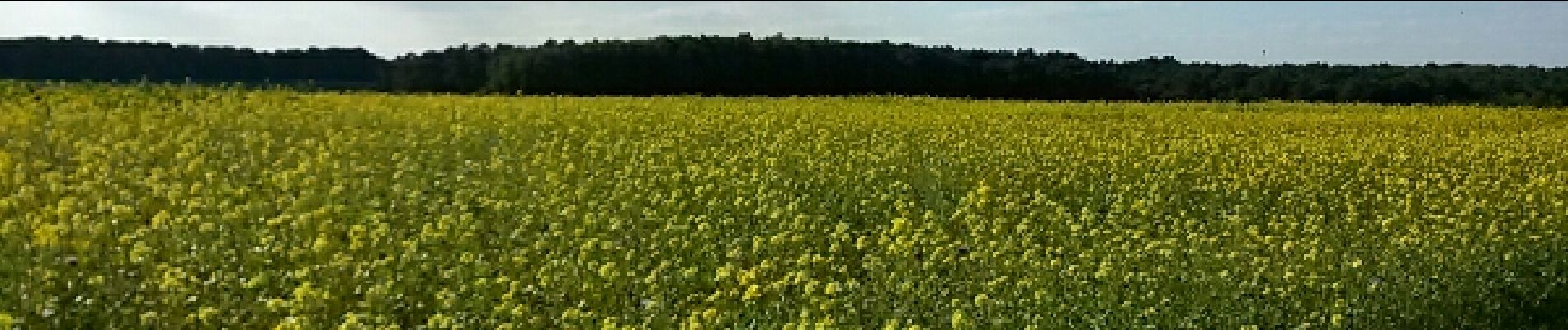 Tour Wandern Chaumont-Gistoux - Bonlez - Photo