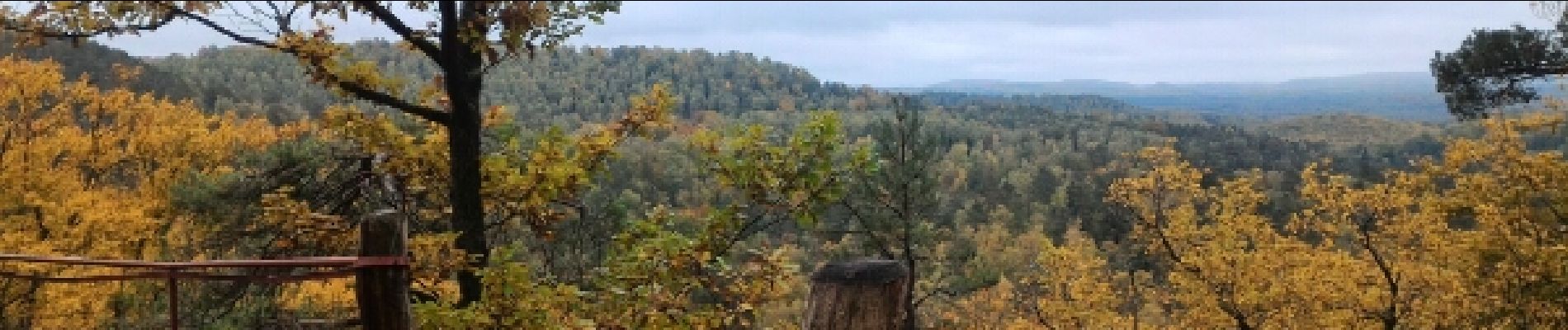 Excursión Marcha nórdica Haspelschiedt - haspelscheidt au rocher de roppeviller - Photo