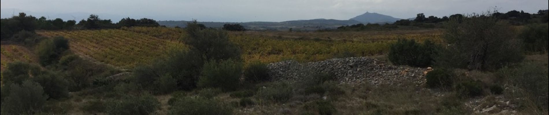 Randonnée Marche Baixas - 66 BAIXAS à CALCE chemins à travers le vignoble - Photo