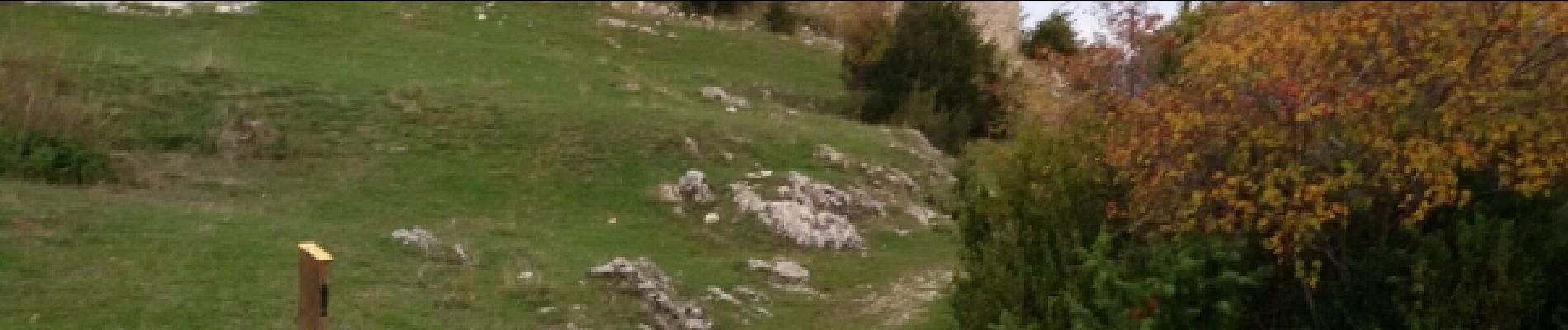 Tocht Stappen La Palud-sur-Verdon - Vieux village ruiné de Chateauneuf les Moustier. (25-10-15) - Photo