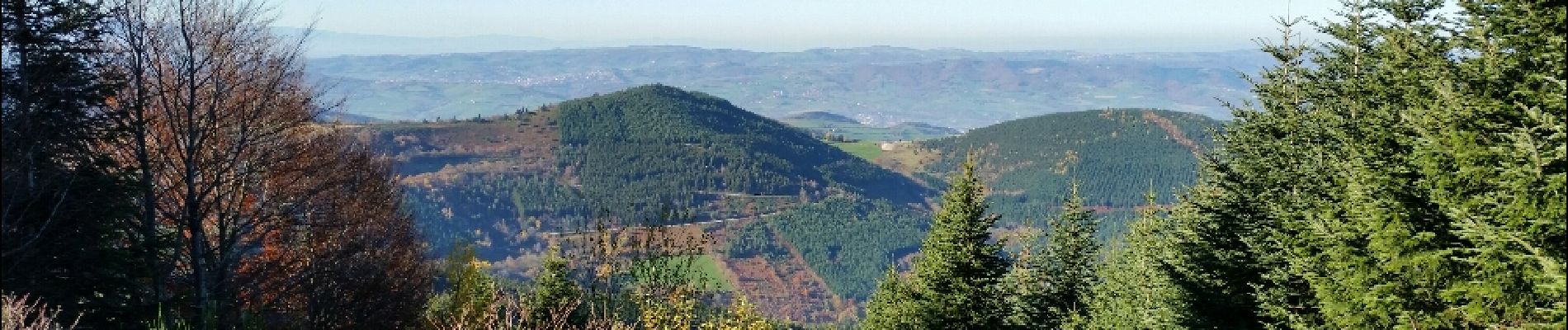 Randonnée Marche La Valla-en-Gier - le planil - la jasserie - le planil - Photo
