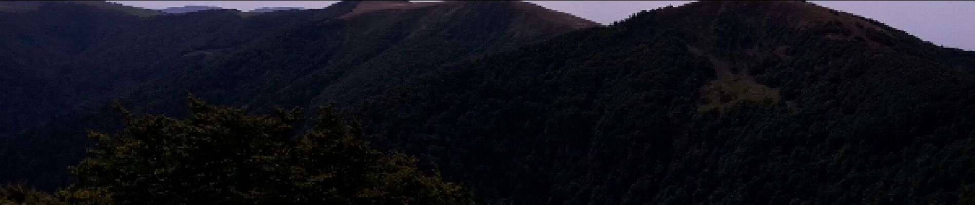 Tocht Stappen La Bresse - Le sentier des névés du Kastelberg - Photo