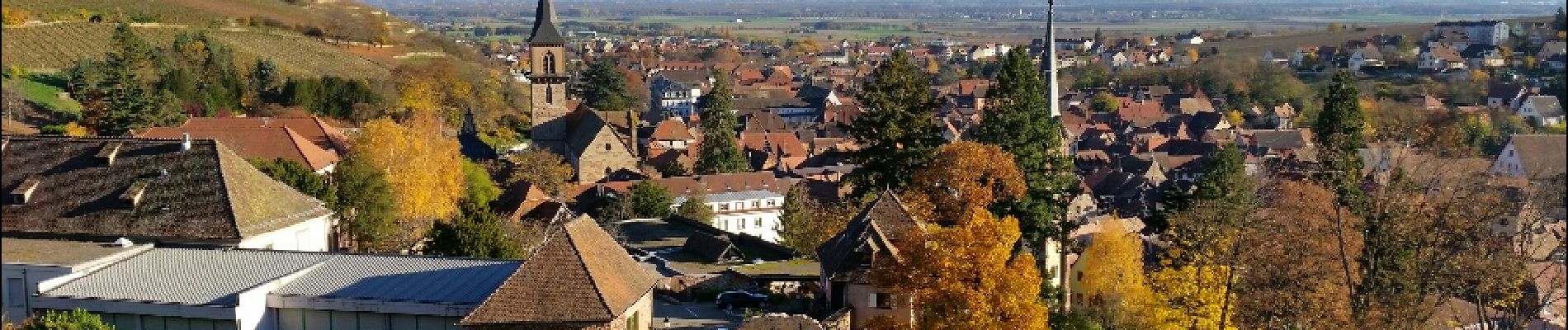 Tour Wandern Rappoltsweiler - Ribeauvillé-Thannenkirch-Ribeauvillé - Photo