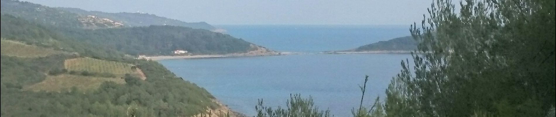 Point d'intérêt La Croix-Valmer - Le Cap Taillât - Photo