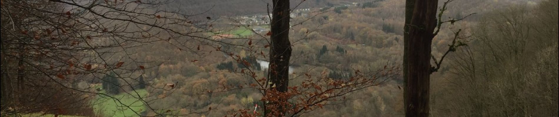 Tocht Andere activiteiten Les Hautes-Rivières - haute RIVIERE  - Photo