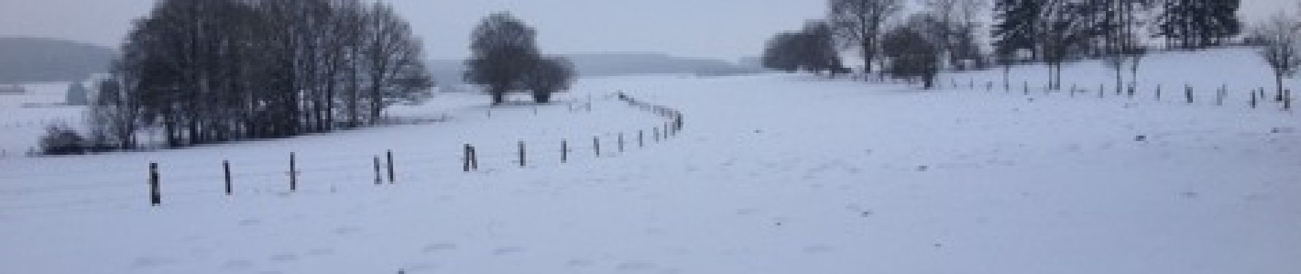 Excursión Marcha nórdica Vaux-sur-Sûre - Morhet - Photo