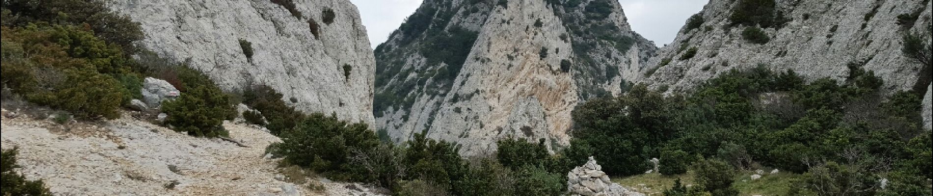 Randonnée Marche Saint-Rémy-de-Provence - St Remy - Photo