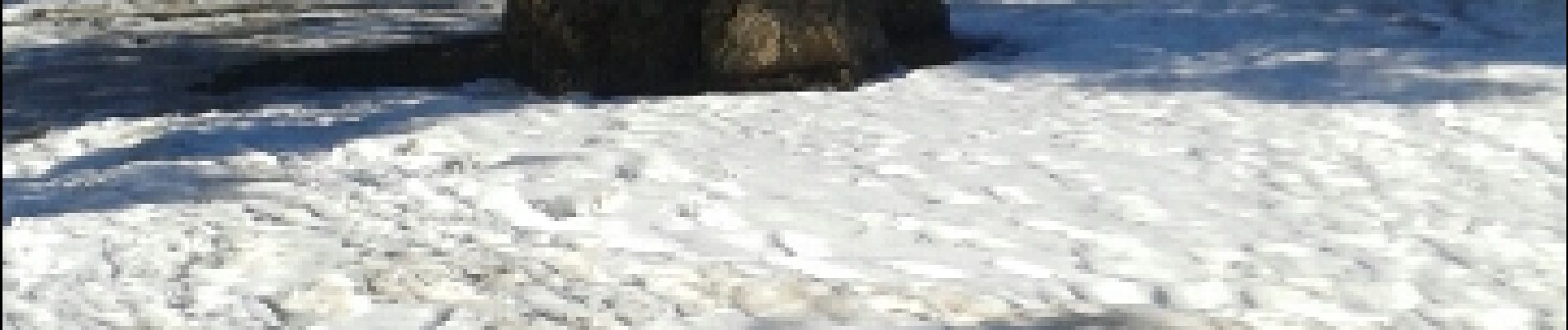 Tocht Sneeuwschoenen Railleu - Coll de creu Coll de Sansa  pla de grill - Photo