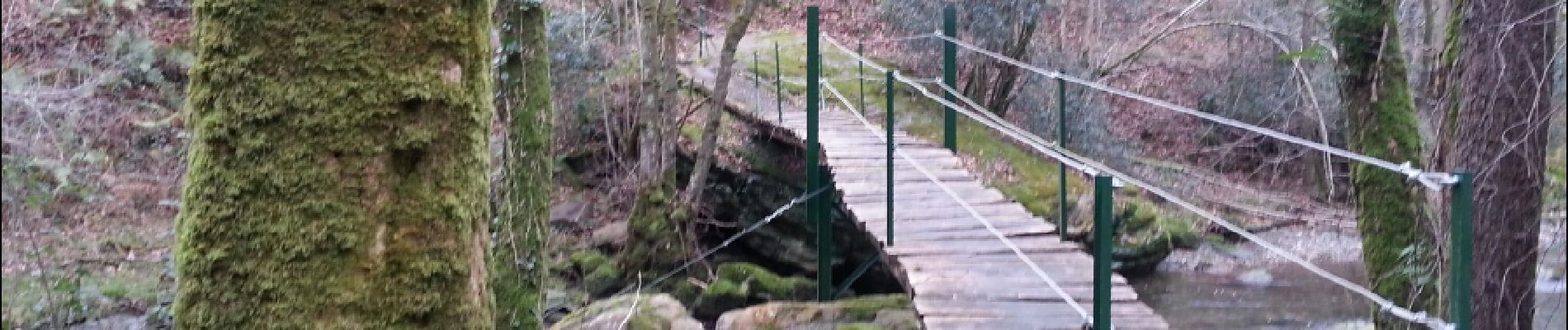 Excursión Senderismo Urdax - 0 Urdazubi, Otsondotiki, Goizamendi, puerto Otsondo, Baratxunetza, Mokorro, Urdazubiko Muga. - Photo