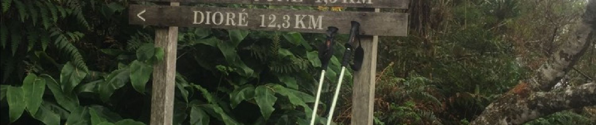 Randonnée Marche Salazie - piton ne massoune par la mare - Photo