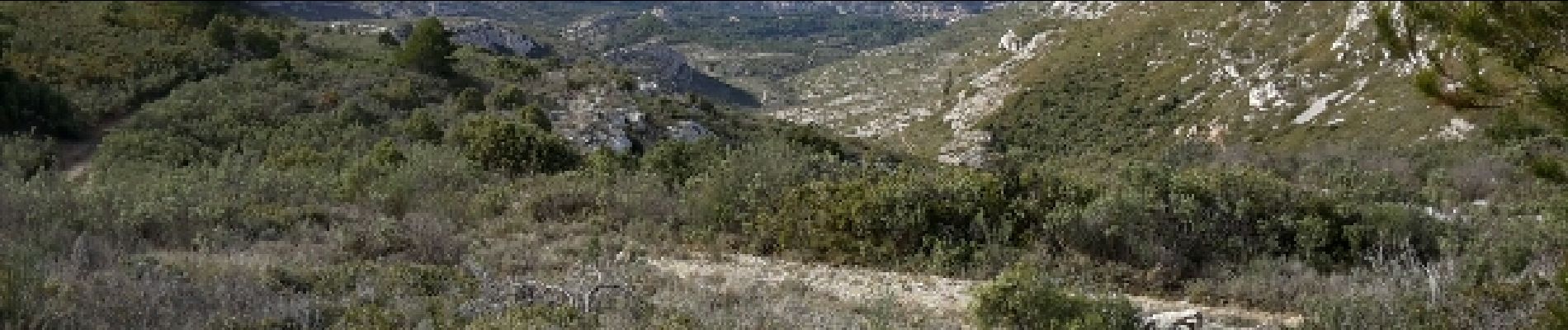 Randonnée Marche Allauch - pichauri - Photo