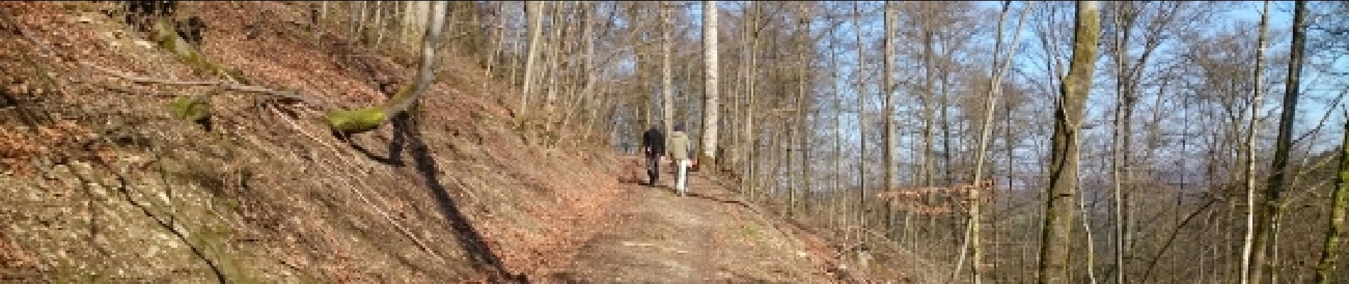 Tour Wandern La Roche-en-Ardenne - Hives, vallée des Tombes - Photo